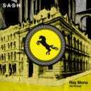 Ray Mono - Level Up (Original Mix)