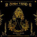 Josh Teed & Shanghai Doom & Glass Arrowhead - Ancient Illusions (Glass Arrowhead Remix)