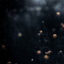 Lednik Frontier - In the Light ()