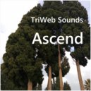 TriWeb Sounds - Our Last Vacation ()
