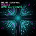 Sneijder & David Forbes - Accelerate