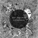 Ant. Shumak - Space Flight