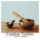 Alejandra Campana - Eliminar la Ansiedad p 1 (Original Mix)