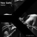 Nea Gaits - Chasing The Dragon (Original Mix)