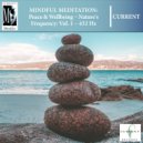 Current - Mindful Meditations - Peace and Wellbeing, Vol. 1 ()