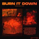 Shiraz Javed & D!CE - Burn It Down ()