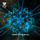 Slackers Project - We Don\'t Go Back (Original Mix)