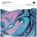 Miami Shakers - Madness (Original Mix)