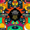 Amir Farhoodi & Saleh - Enigmatic (Original Mix)