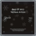 Romain Villeroy - It\'s Crazy (Original Mix)