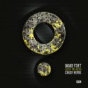 David Tort - Lost In Acid