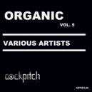 Mary Free - Lunatic (Original Mix)