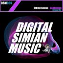 Orbital Simian - Calibration (Original Mix)