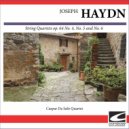 Caspar Da Salò Quartet - Haydn String Quartet #53 In D major, op. 64, No. 5, H 363, \'The Lark\' - Allegro moderato ()