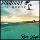 Mellodose & Vibright - Knee High