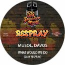 MuSol & Davos - What Would We Do