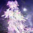 Thorjn - A Clear .?. White Sky ()
