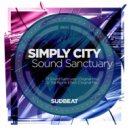 Simply City - The Ripple Effect