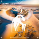 Tamer ElDerini, Cafe De Anatolia - Shamaleya