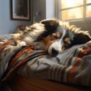 Sleepy Pets & Field Animals & Melatonement - Soothing Rain Tunes for Pets' Comfort