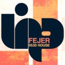 Fejer - 0530 House (Radio Mix)