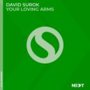 David Surok - Your Loving Arms
