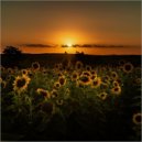 SounEmot State (Dj) - Top 8 Emotional and Uplifting Trance Mix September 2023 (Mixed by SounEmot)