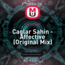 Caglar SAHİN - Affective