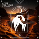 DJ Avi Revach - After the Flood
