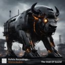 Marco Bedini - The Void Of Sound ()