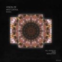 Vision 29 - Mind Control