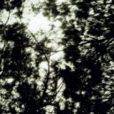 Demetrio Cecchitelli - Loop (for Moon)