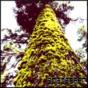spaceseer - Towers of the Moss ()