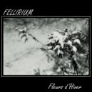 Fellirium - Thin Ice ()