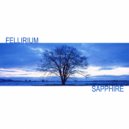 Fellirium - Eternal Loneliness ()