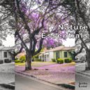 Siarhei Korbut - Nature Zen (Original Mix)