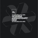 Hoshina Anniversary - Slothful (Original Mix)