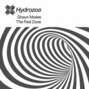 Shaun Moses - Underground