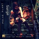 Pulse Plant & D.A.V.E. The Drummer - Surge (D.A.V.E. The Drummer Remix)