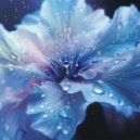 Audesi - Petrichor ()