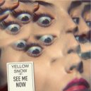 Yellow Snow - See Me Now (Drop Out Orchestra Remix)