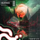 Dalmoori & Kaselia - Wilderness (Extended Mix)