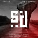 Konfluence - Afwekadi