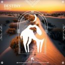 Acarya - Destiny