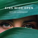 Niclas Lundqvist - Expanding Blue