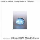 Sleep BGM Mindfulness - Finding Balance in Nature's Hug