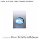 Sleep BGM Mindfulness - Finding Balance in Nature\'s Hug (Original Mix)