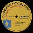 Different Noodles - Flame (Original Mix)