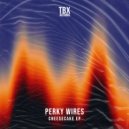 Perky Wires - Dimensions (Original Mix)