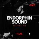 T.I.N. - Special Mix For ENDORPHIN SOUND #417